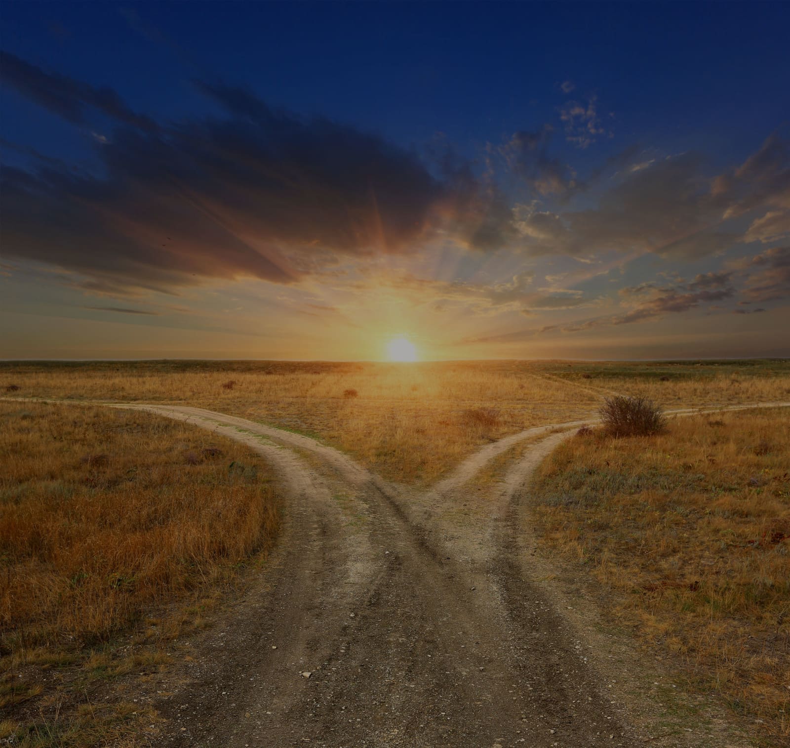 A quiet landscape with paths meeting near the horizon