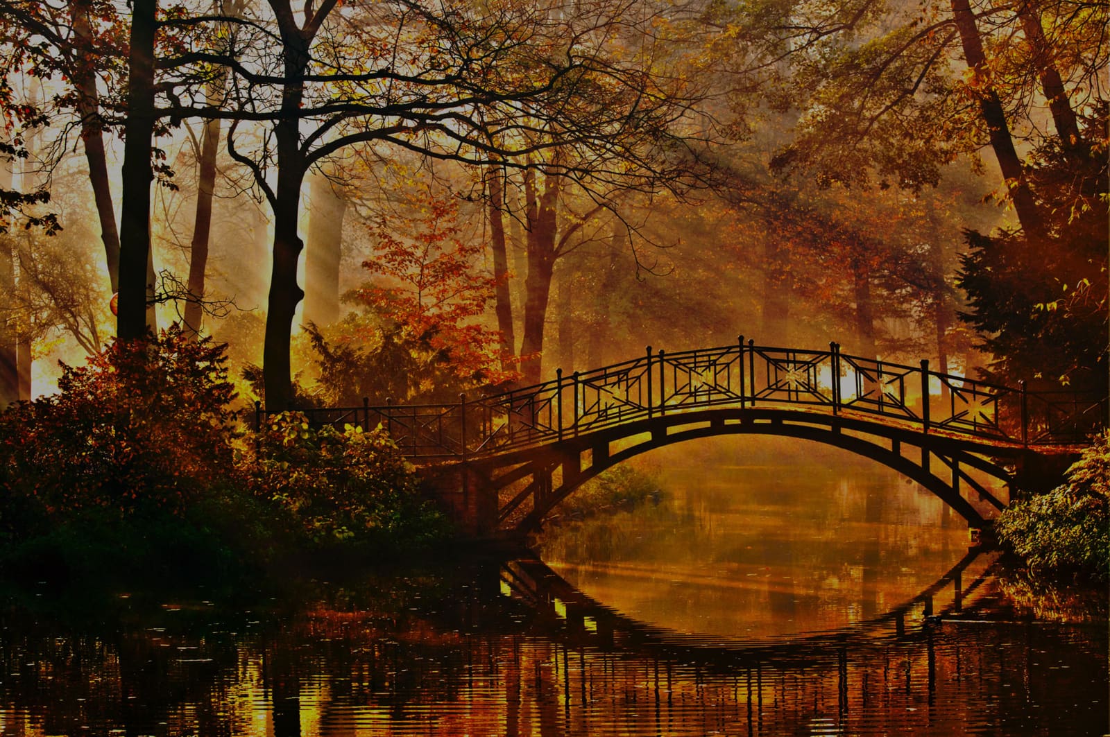 A bridge crossing through warm wooded parkland